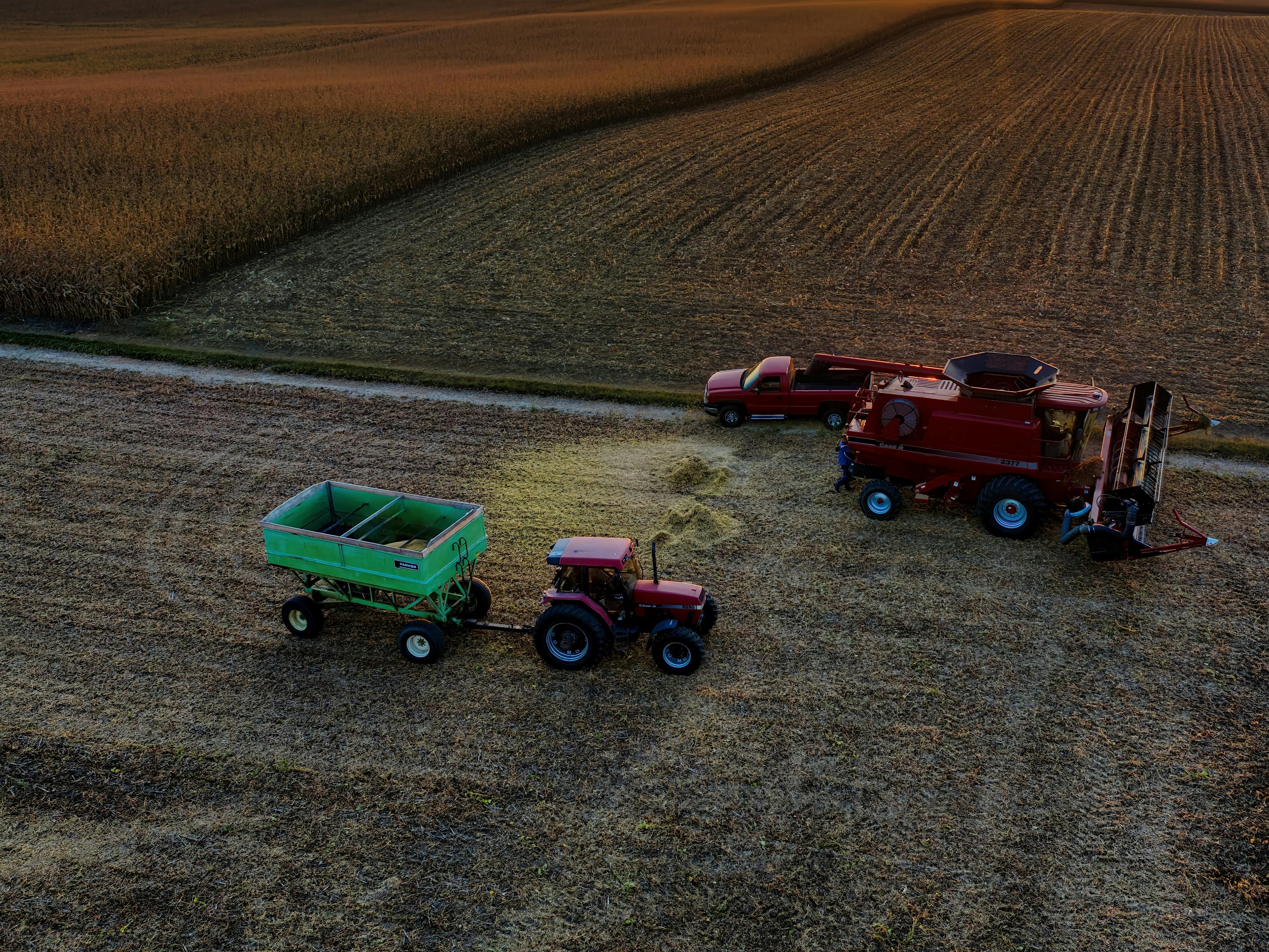Harvested Field