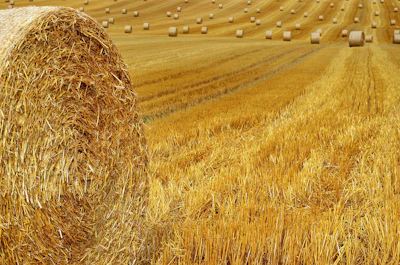 Hay Bales Pixabay