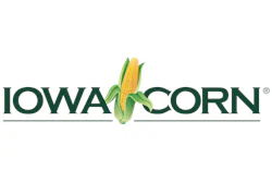 Iowacorn Logo 1280x383