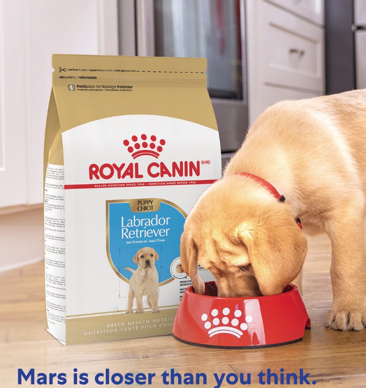 Royal Canin puppy food package with Labrador Retriever breed-specific kibble and red feeding bowl