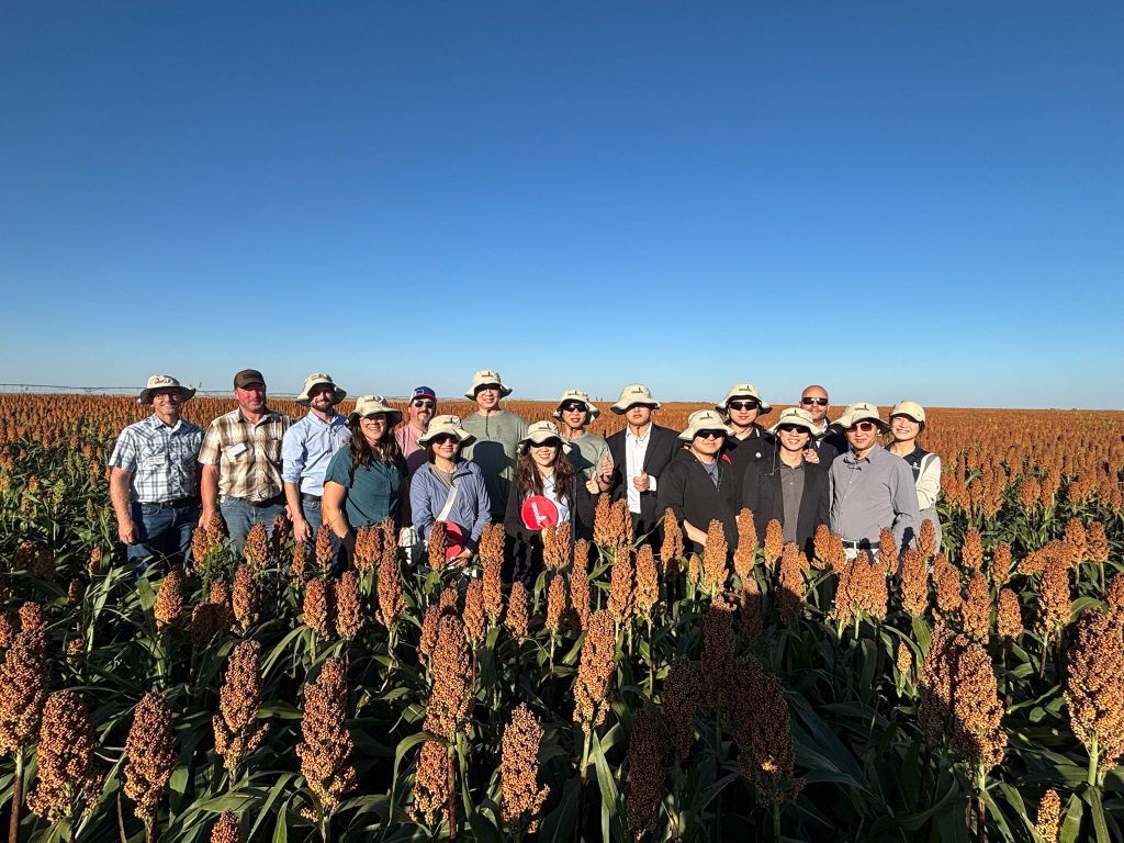 Last week, the U.S. Grains & BioProducts Council (USGBC), in partnership with United Sorghum Checkoff Program (USCP), the Kansas Grain Sorghum Commission and the Texas Grain Sorghum Producers Board, held Export Sorghum 2025 in San Antonio, Texas to showcase the quality of U.S. sorghum. Pictured, USGBC Director in China Manuel Sanchez (rear, second from right) and USGBC Director of Global Programs Administration Stella Qian (rear, rightmost) escorted a group of participants on field visits.
