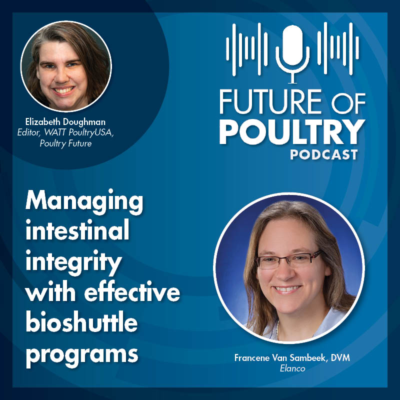 Watt Poultry Chat Episode 28 Elanco Sambeek