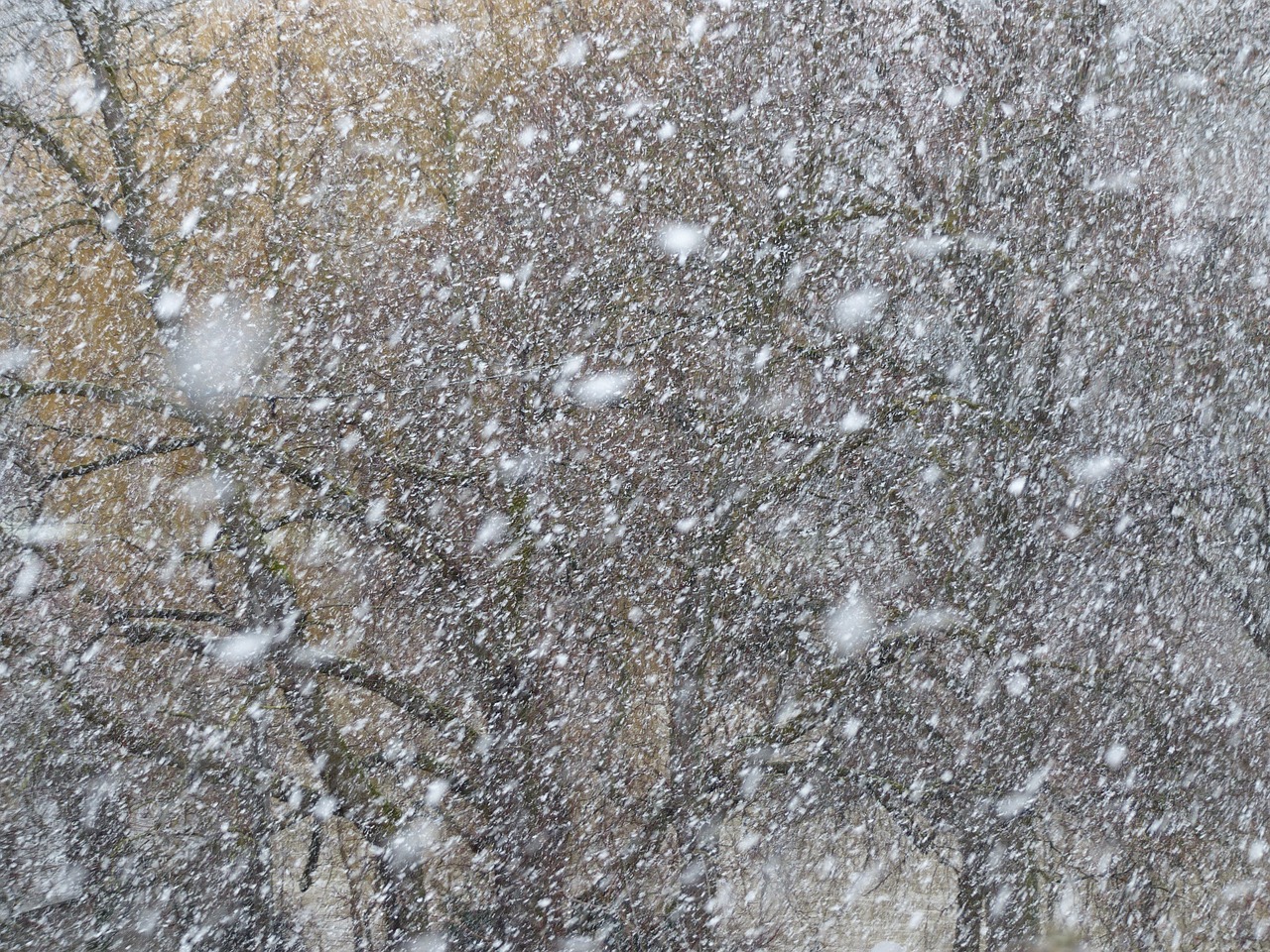 Blizzard Snow