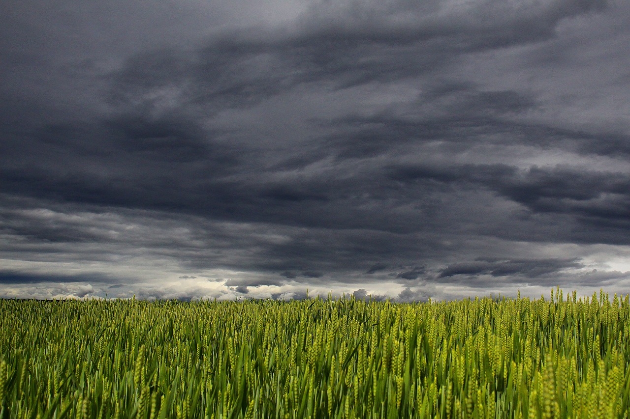 Clouds Over Wheat Feild Pixabay