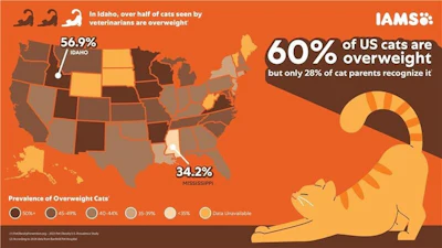 IAMS infographic showing 60% of US cats are overweight, with state-by-state prevalence map