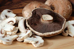 Fresh portobello and white button mushrooms sliced on wooden cutting board
