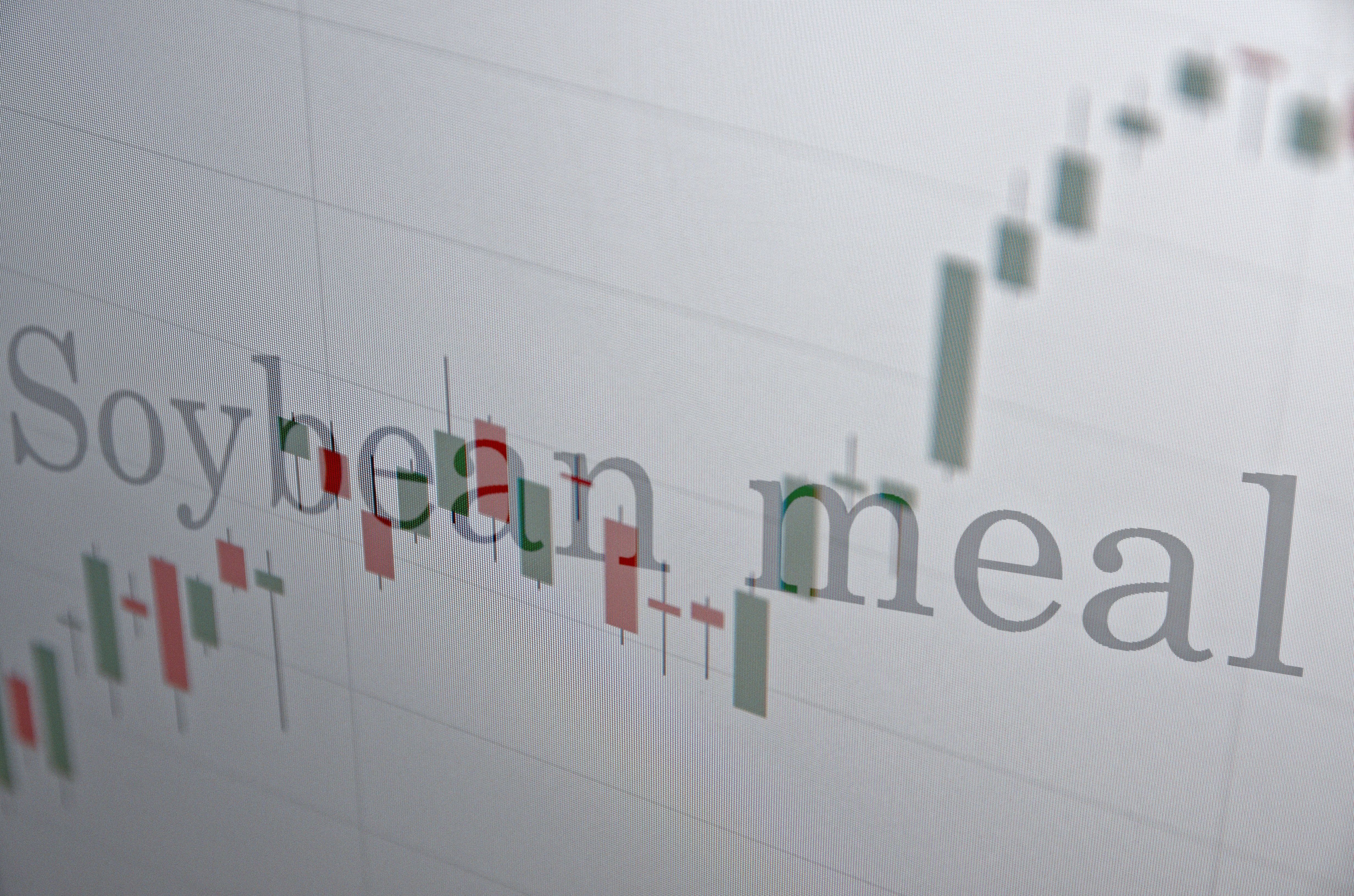 Soybean Meal Prices