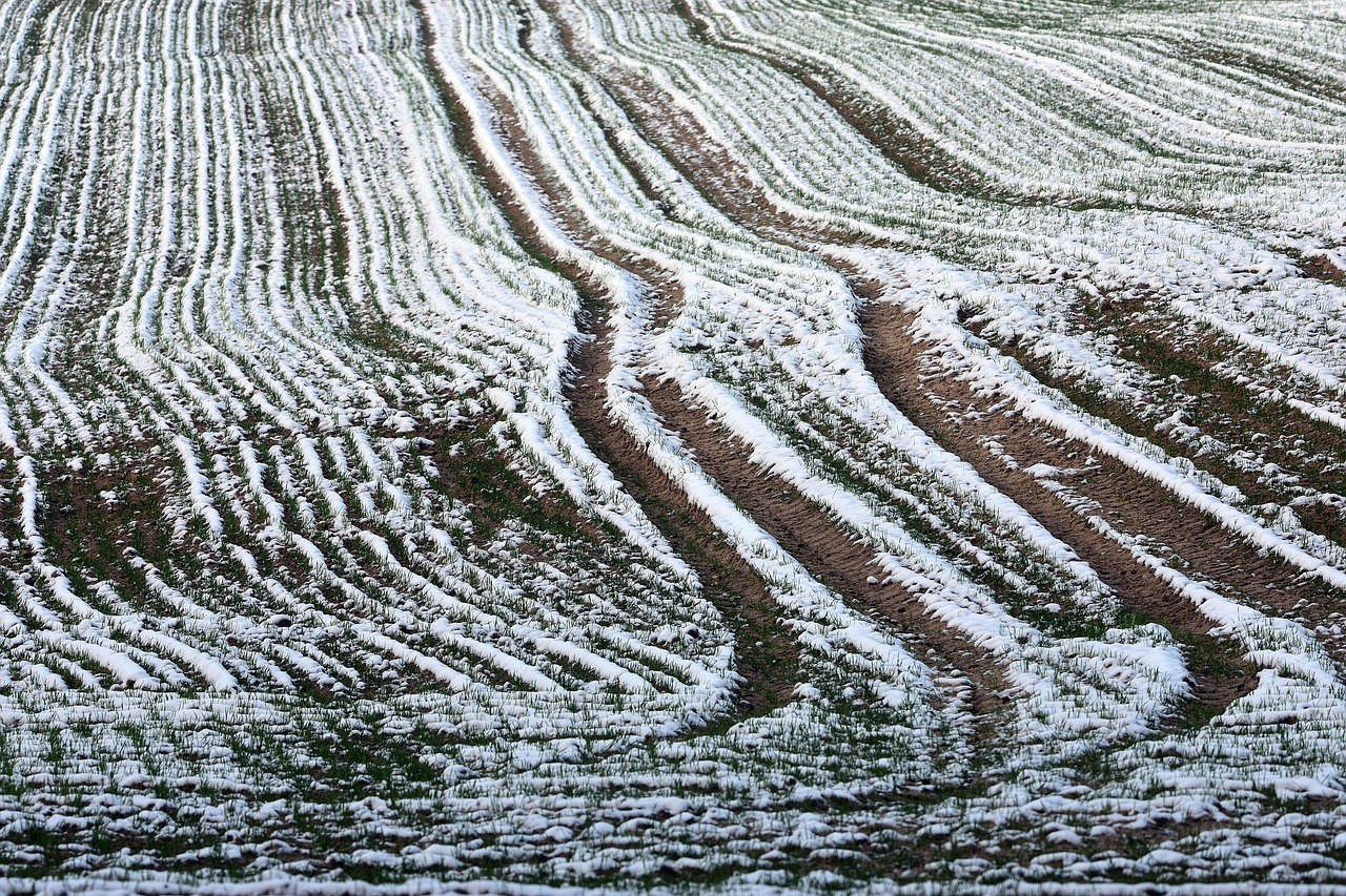 Field Light Snow Pixabay