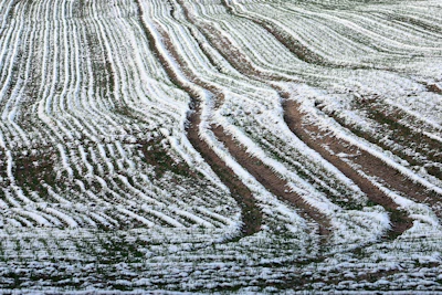 Field Light Snow Pixabay