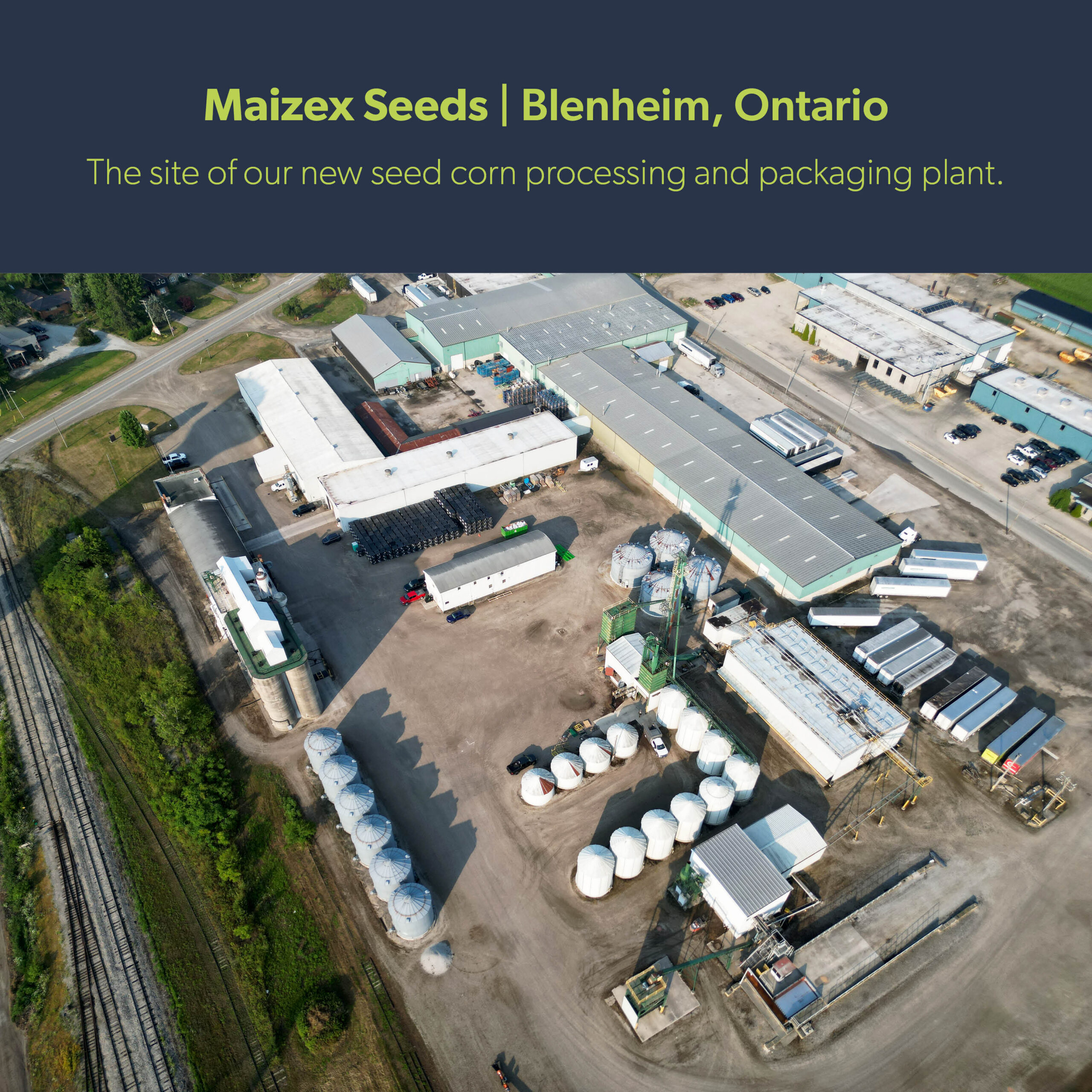 Maizex Blenheim Expansion Press Release Graphic 1200x1200 En Scaled