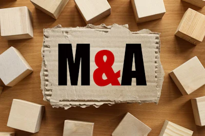 Merger Svetlana Hadayeva Bigstock