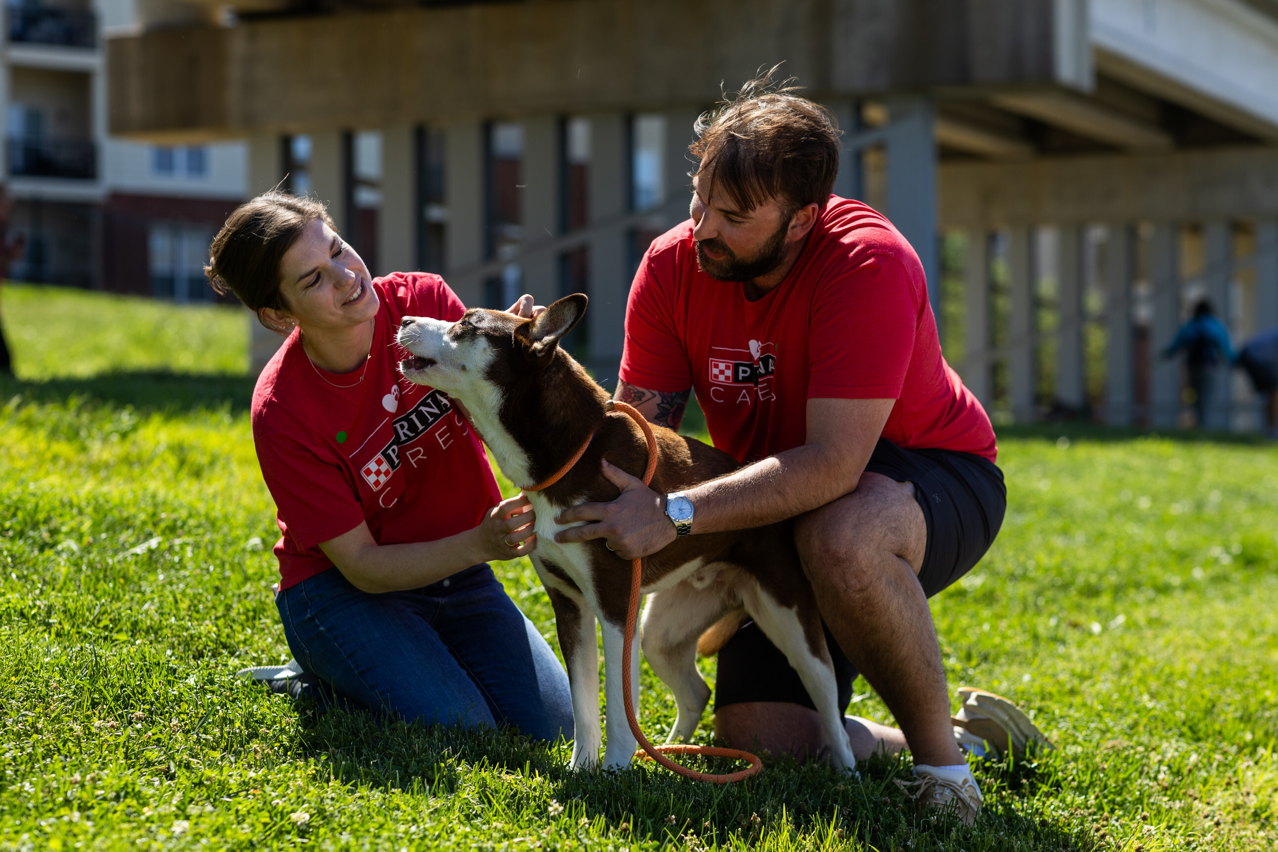 Two volunteers in red shirts caring for a dog on a grassy lawn