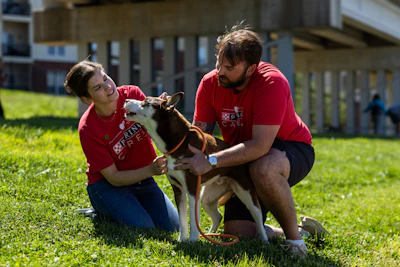 Two volunteers in red shirts caring for a dog on a grassy lawn