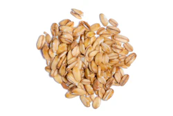 Pile of golden wheat or grain seeds on white background