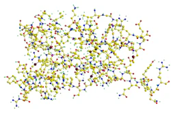 Prion Mad Cow Bse