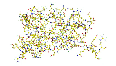 Prion Mad Cow Bse