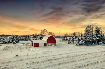Snow Covered Barn Pexels
