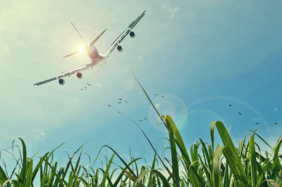 Airplane Over Corn