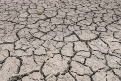 Drought Cracked Dirt