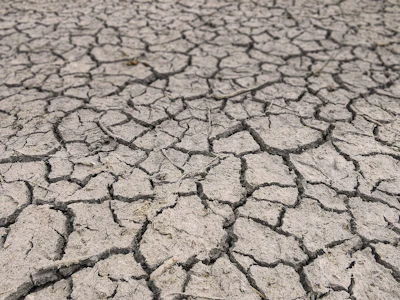 Drought Cracked Dirt