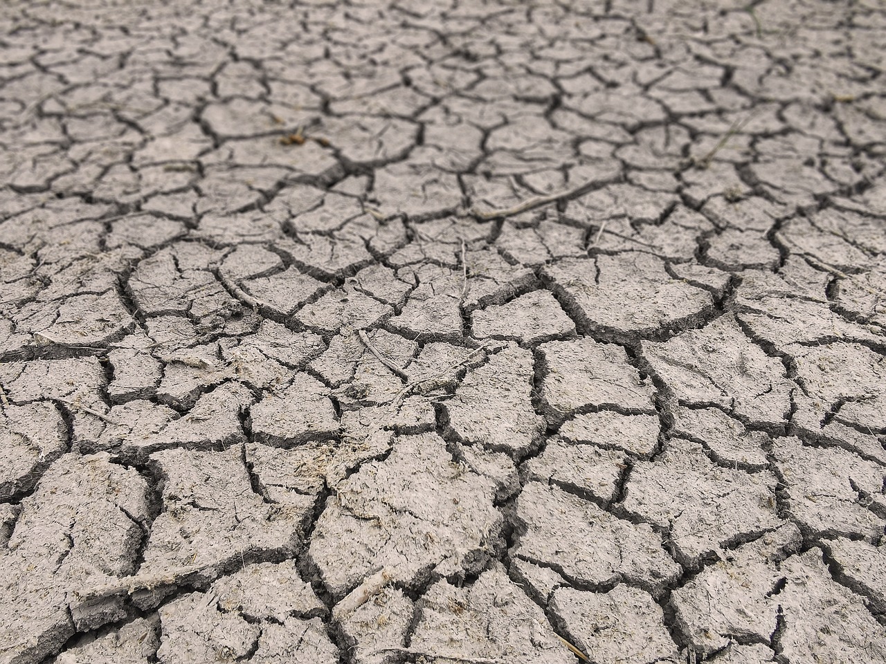 Drought Cracked Dirt