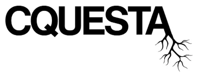 Qt=q 95