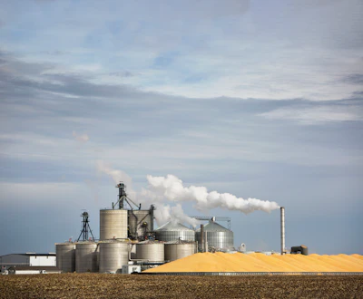 Biofuel Ethanol Corn Plant