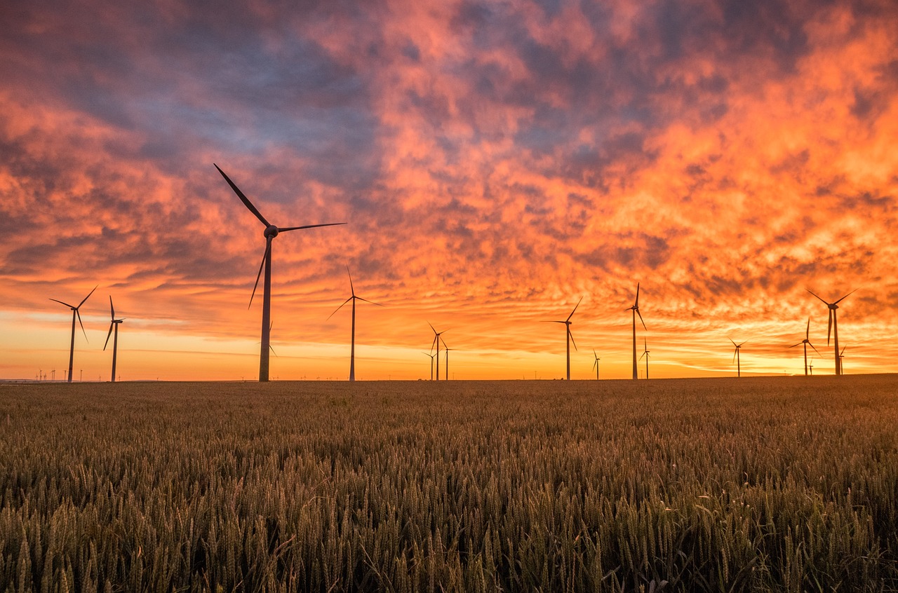 Windmills On Farm Sunset