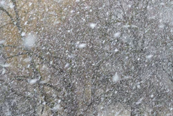 Blizzard Snow