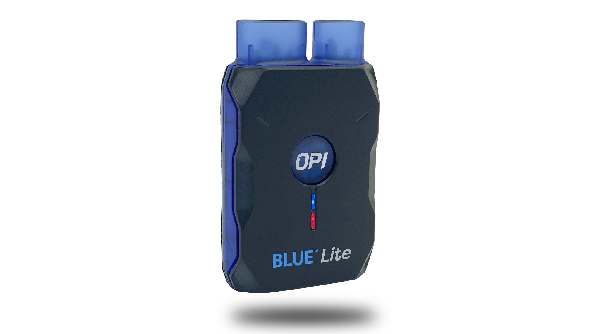 Bluelite Large