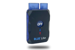 Bluelite Large