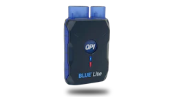 Bluelite Large
