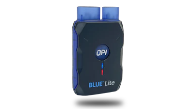 Bluelite Large
