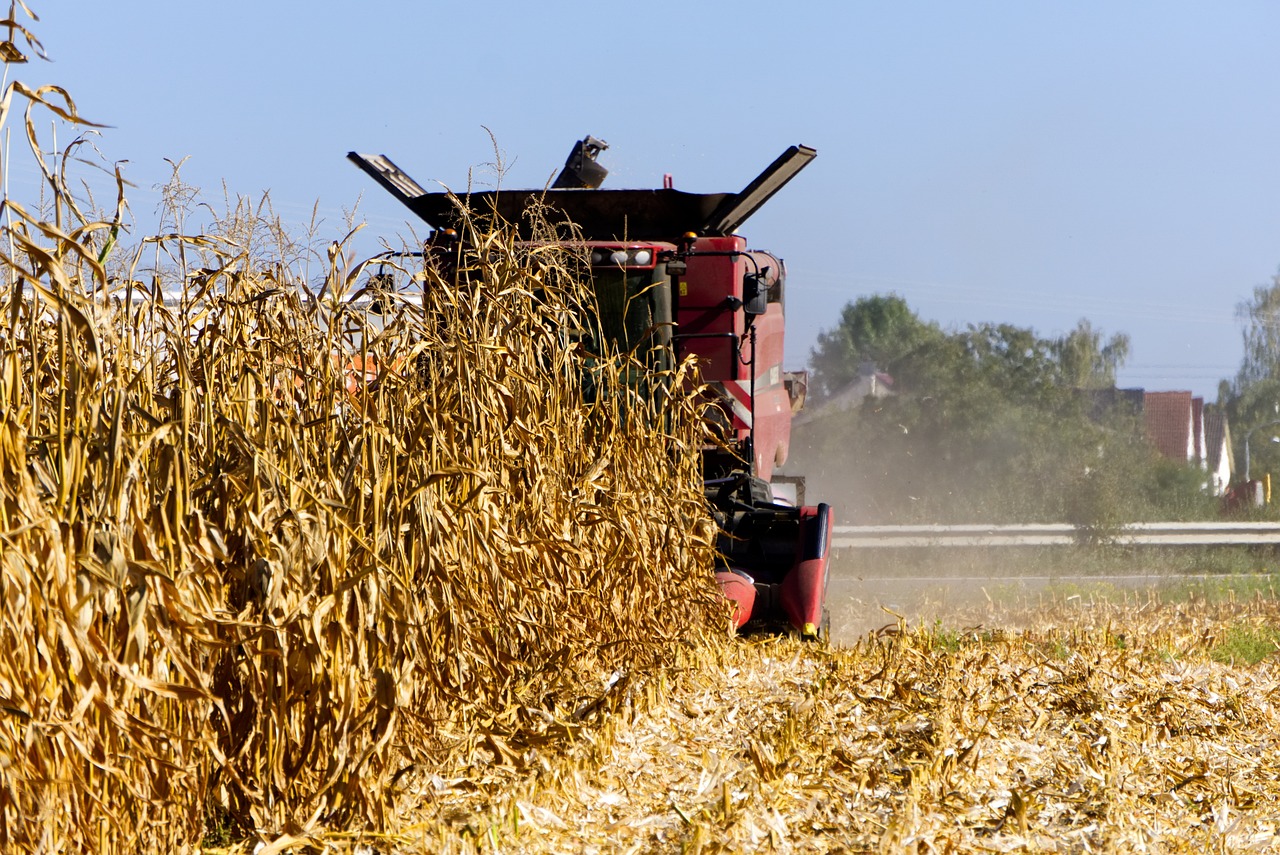 Corn Being Harvested Pixabay