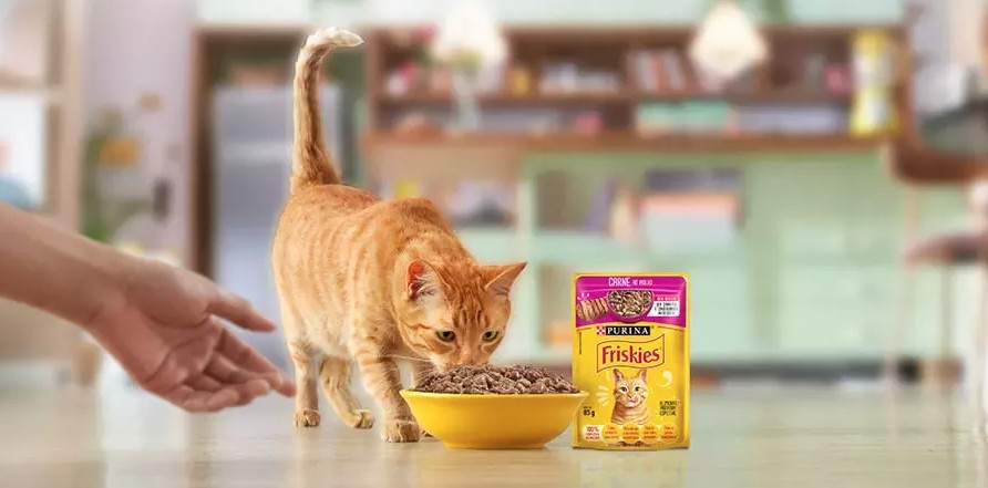 Orange tabby cat eating from yellow bowl next to Friskies cat food package
