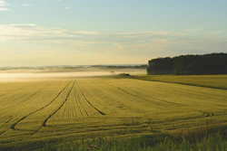 Shawnkonopaski Farm Pixabay
