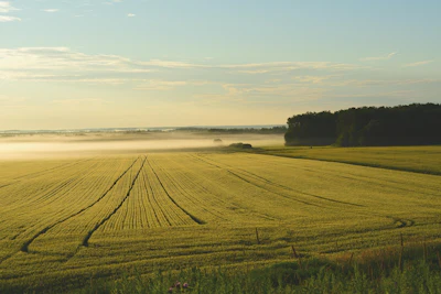 Shawnkonopaski Farm Pixabay