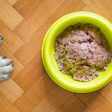 Dog Food Wet In Yellow Bowl Mattycoulton Pixabay