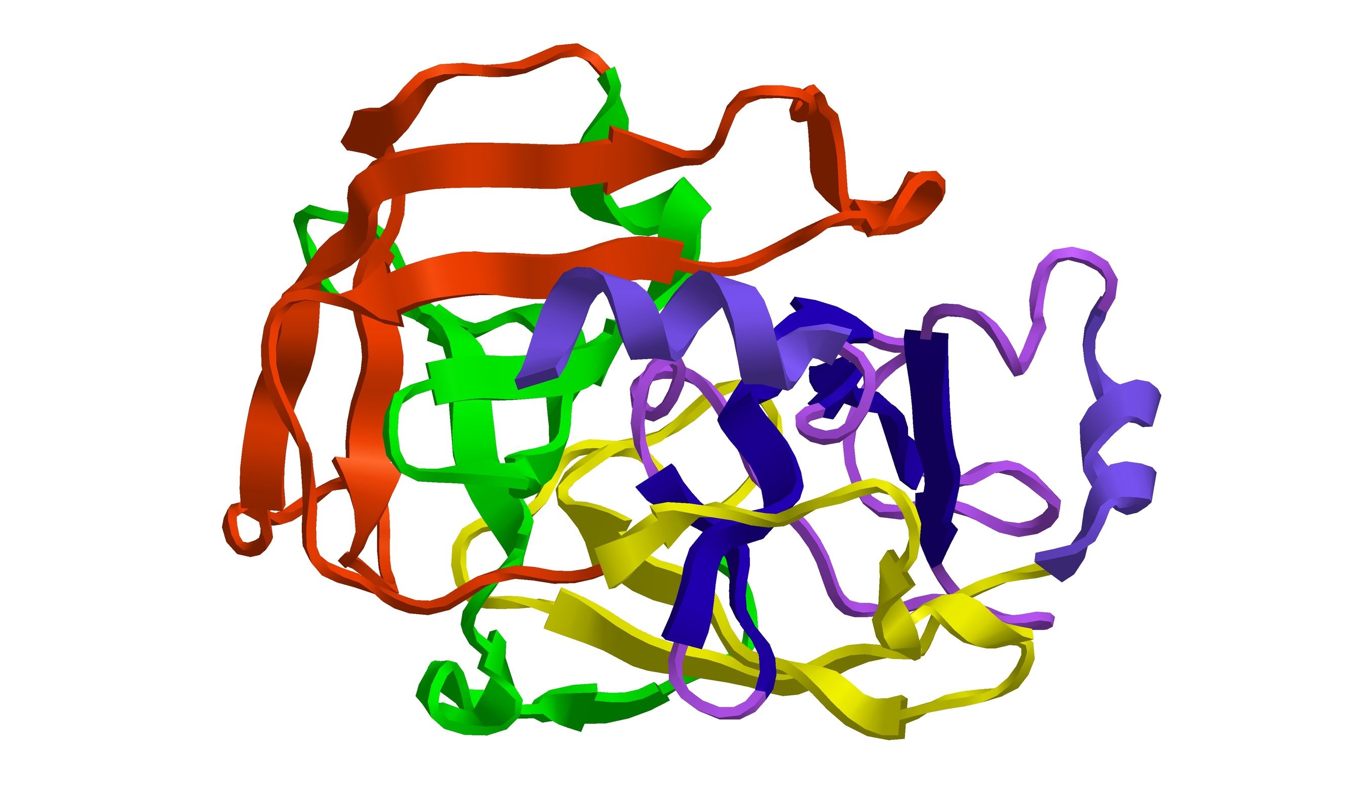 Trypsin
