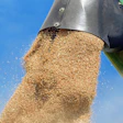 Couleur Wheat 1508654 1920