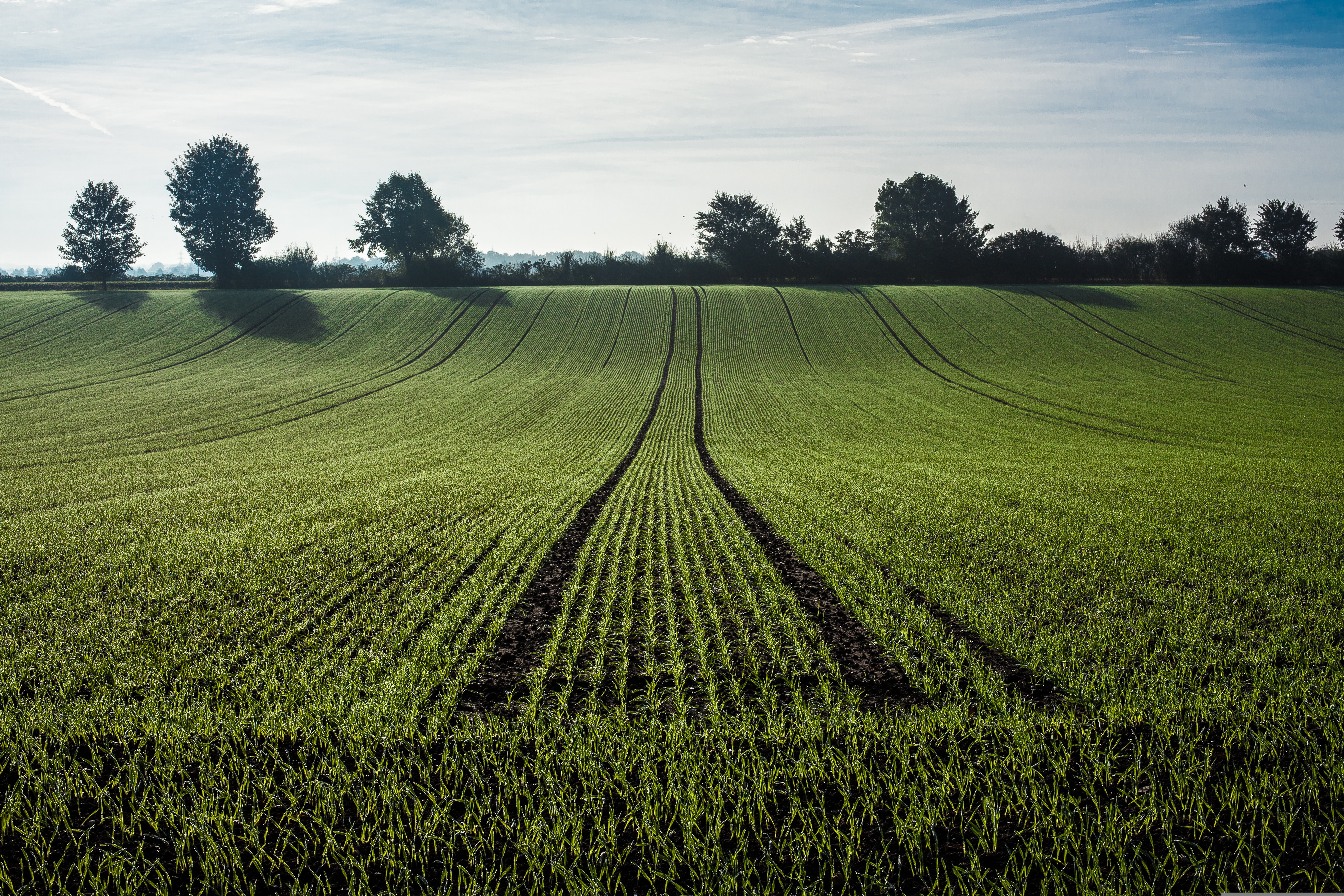 Derks24 Agriculture 2539967