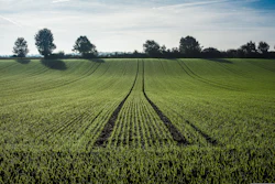 Derks24 Agriculture 2539967