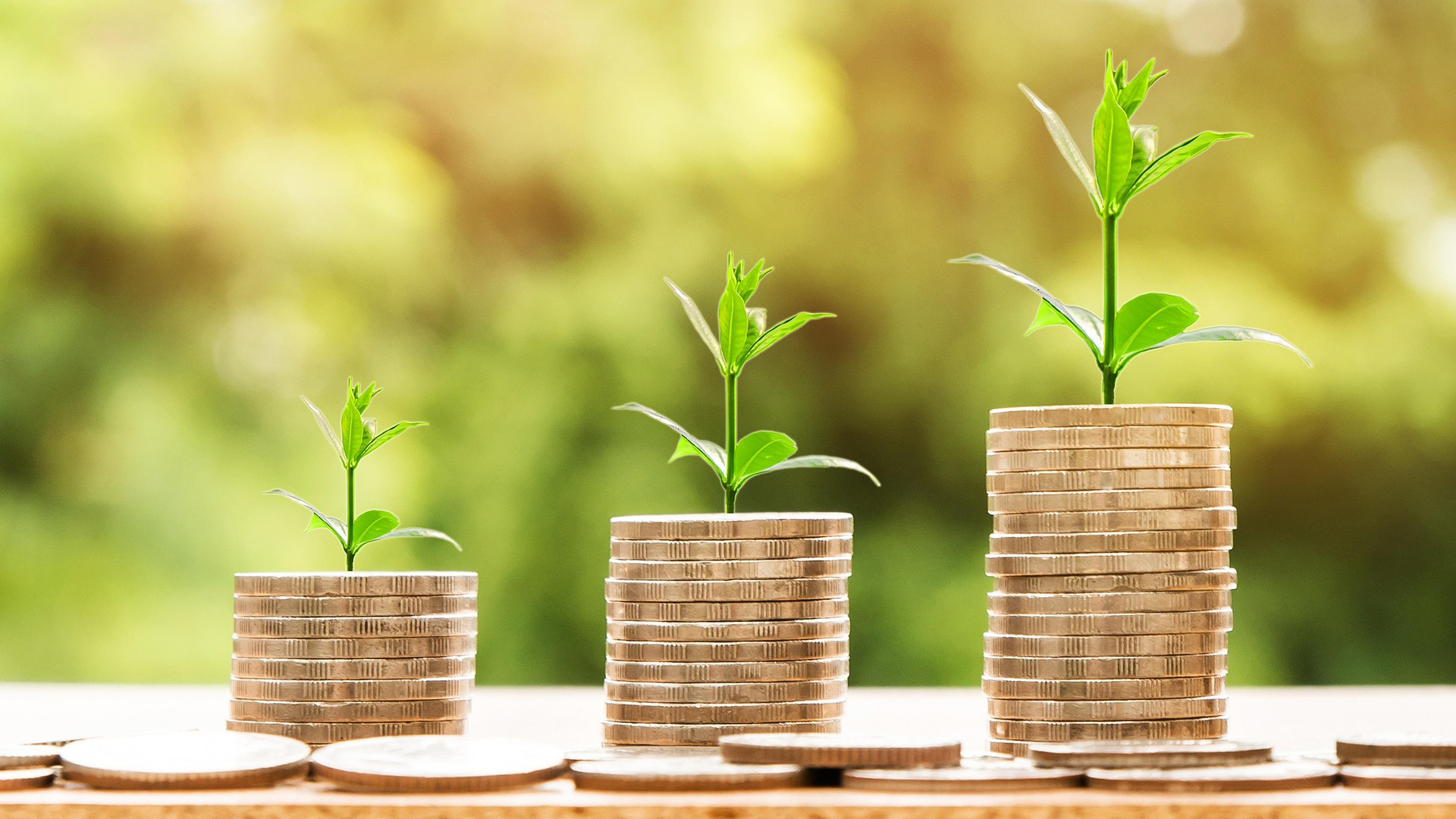 Money Growing Plant Nattanan23 Pixabay