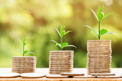 Money Growing Plant Nattanan23 Pixabay