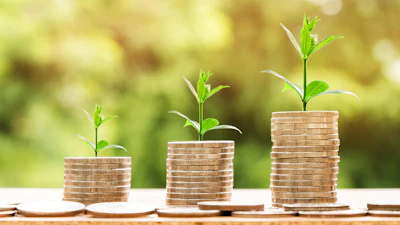 Money Growing Plant Nattanan23 Pixabay
