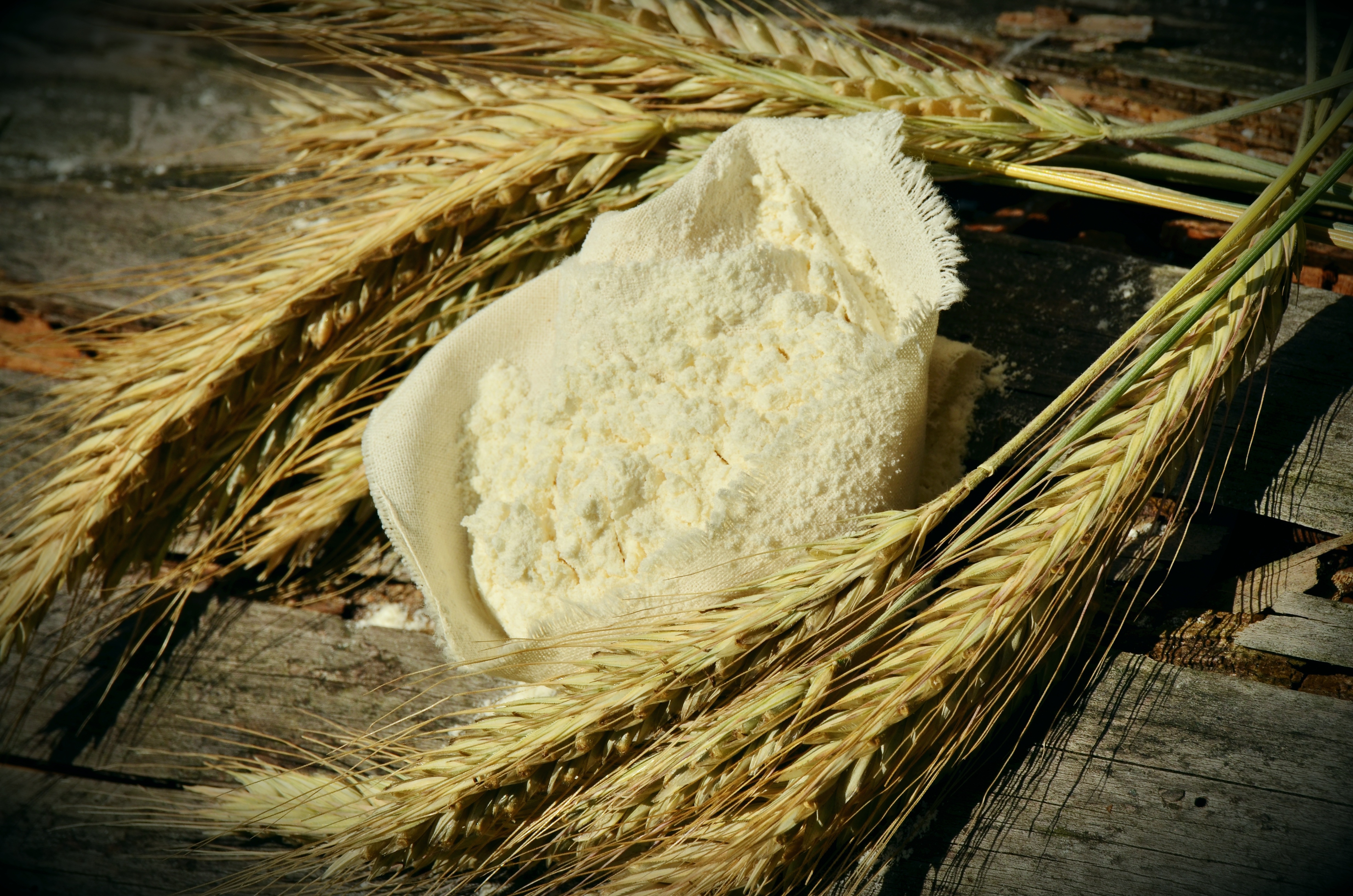 Wheat And Flour Congerdesign Pixabay