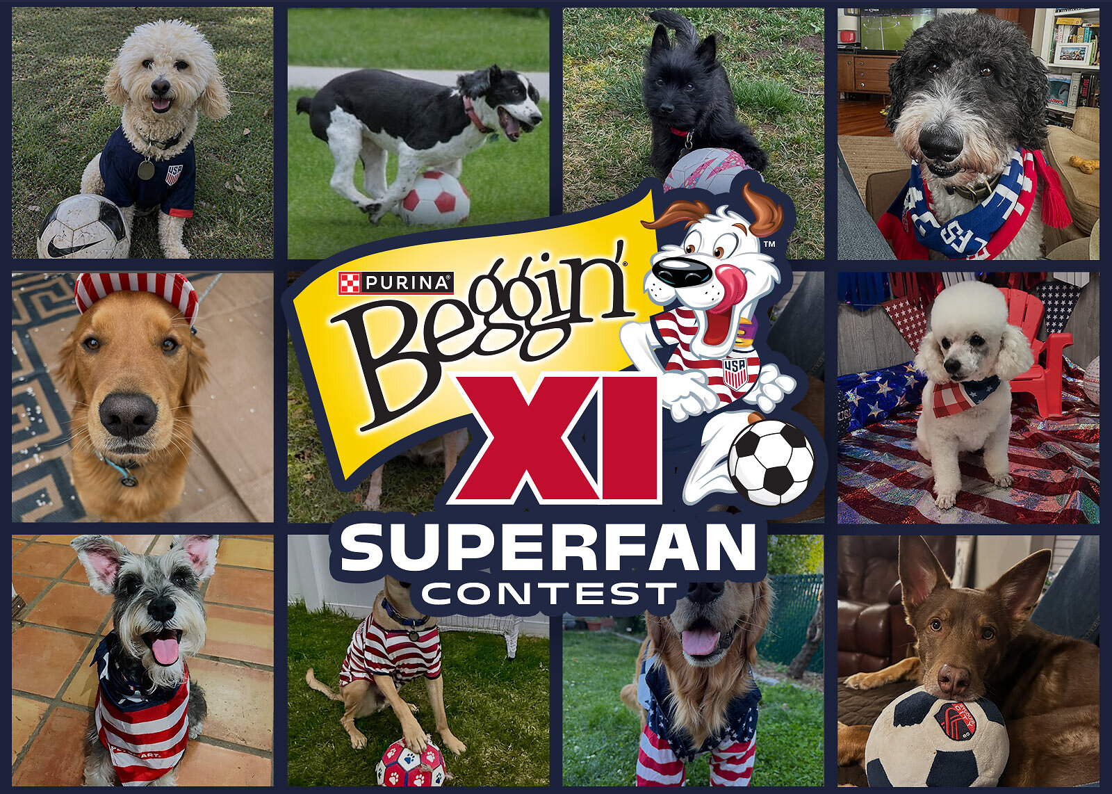 Beggin Xi Roster Of Dog Finalists