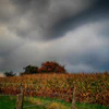 Corn Storm Pixabay Carola68
