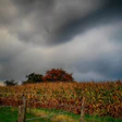 Corn Storm Pixabay Carola68