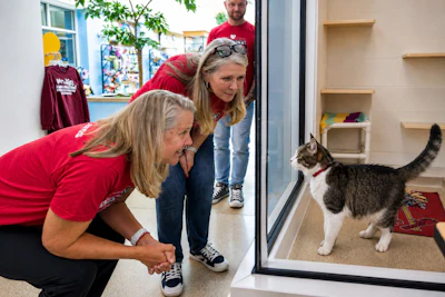 Employee volunteer activities include large-scale mobile food distribution events, animal shelter renovations, personal care kit creation and delivery, riverway clean-ups, outdoor beautification projects, and more.
